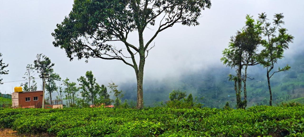 Ghar - Homestay, Where Family Lives Together Aravankādu Esterno foto