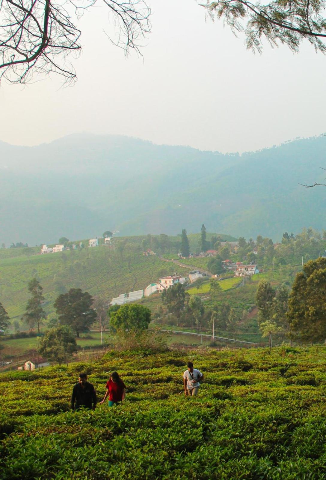 Ghar - Homestay, Where Family Lives Together Aravankādu Esterno foto