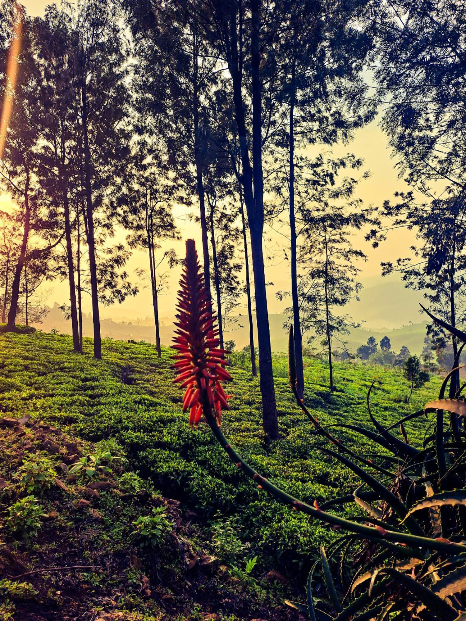 Ghar - Homestay, Where Family Lives Together Aravankādu Esterno foto